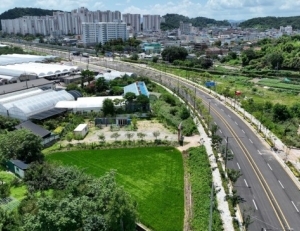기사이미지